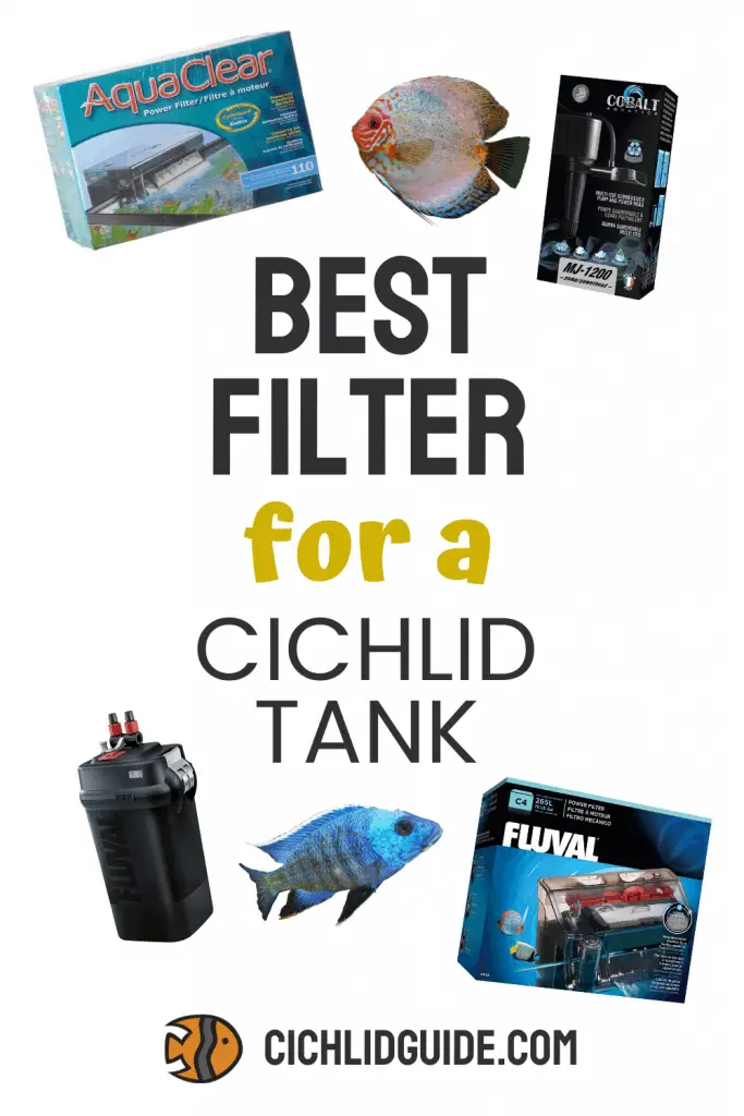 Best Filter for a Cichlid Tank - CichlidGuide.com - Keep your cichlid tank nice and clean with one of the best cichlid water filters.